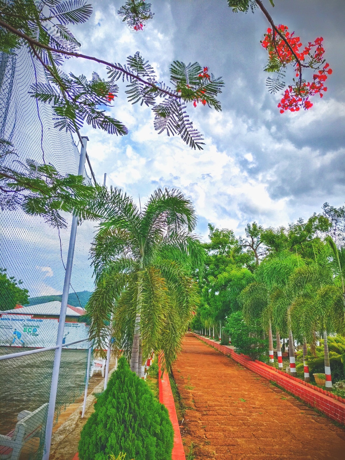Palm-lined pathway at Waldenwoods Eco Retreat in Tangi, Cuttack
